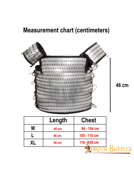 Visby skala lamelart vikingepanser