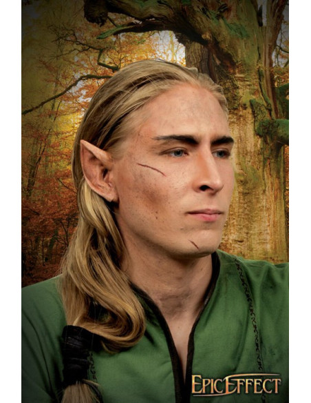 Elven oren voor elven, feeën en...