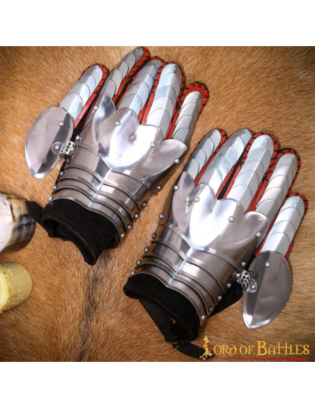 Middelalderlige Fantasy Knight...