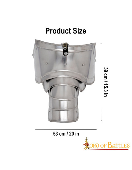 Middeleeuwse ridder...