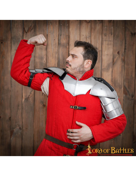 Hombreras de soldado medieval...