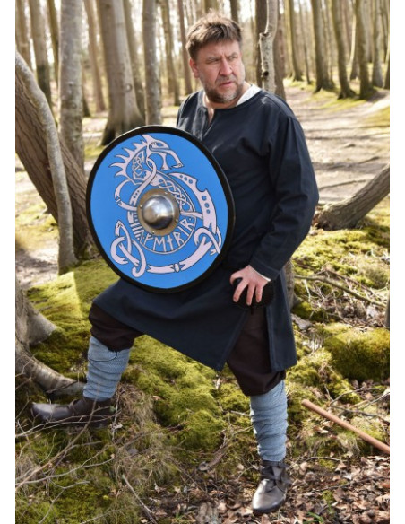 Handbeschilderd Vikingschild met...