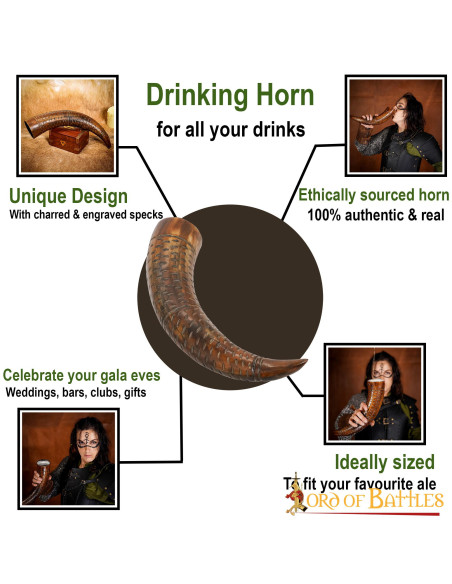 Viking drinkhoorn op ossenhoorn...