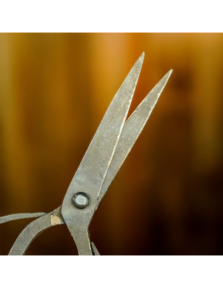 Tijeras forjadas a mano de hierro...