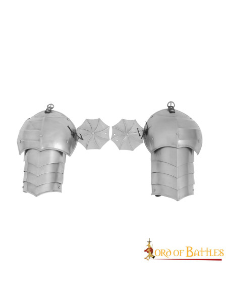 Middeleeuwse schoudervullingen met...