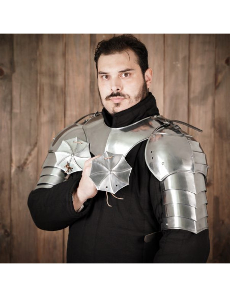 Middeleeuwse schoudervullingen met...