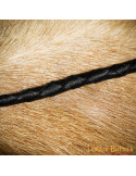 Handgefertigte Bullenpeitsche aus Leder