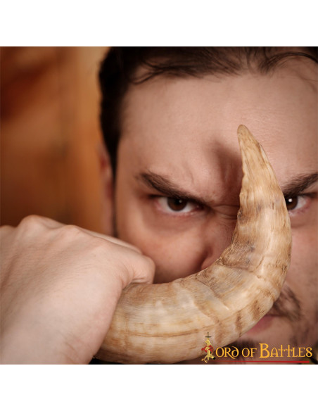 Viking drinkhoorn met natuurlijke...