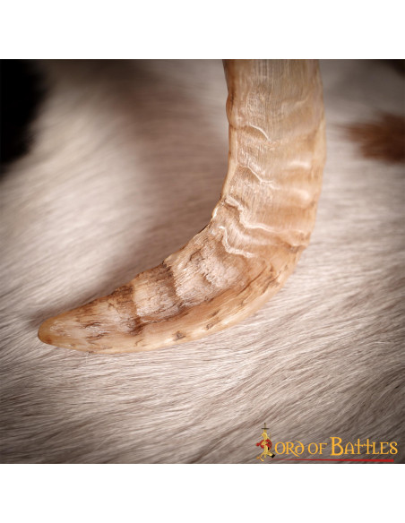 Vikinge-drikkehorn med naturlig tekstur