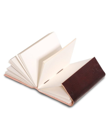 Journal of notes The Dragon, in leer