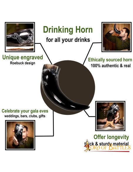 Wikingerhorn-Rehwild in Ochsenhorn...