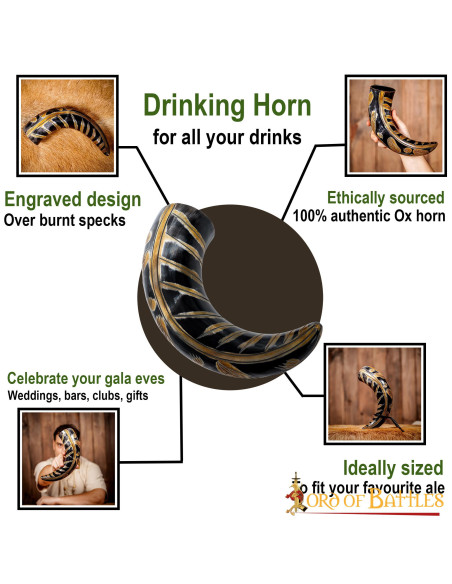 Vikinghoorn met gegraveerde ontwerpen...