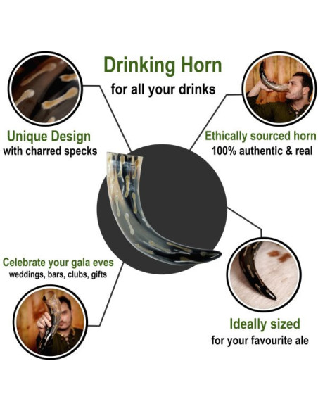 Ochsenhorn mit verkohlten Flecken,...