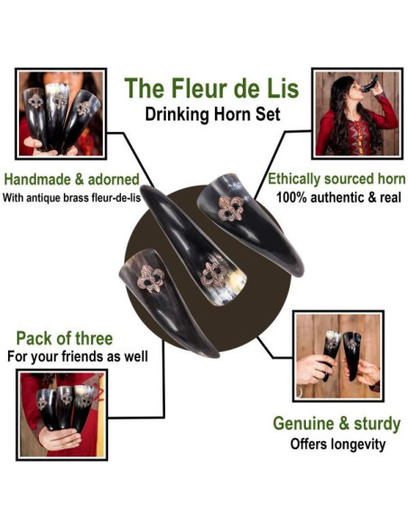 Set van 3 Viking drinkhoorns Fleur de...
