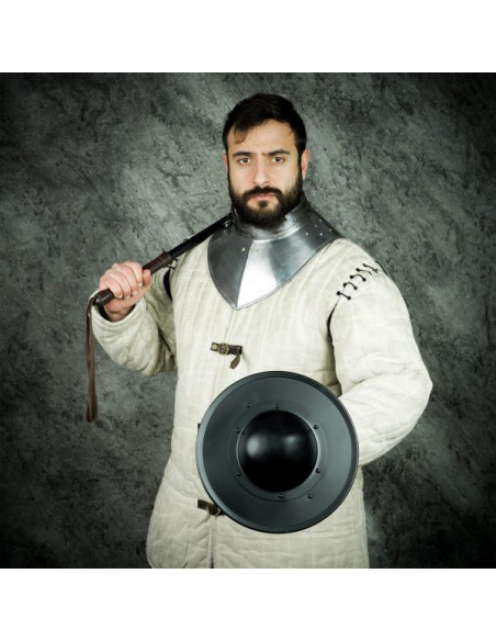 Funktioneller runder Schild aus...