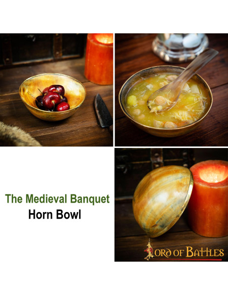 Wikinger-Banketthornschale