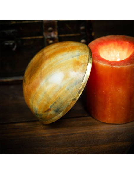 Viking banket horn skål