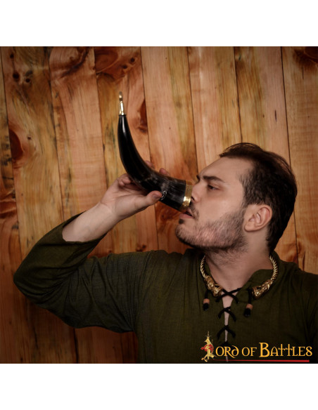 Viking gehoornde hengst op ossenhoorn