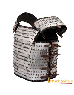 Armadura vikinga de escamas con lamas y placas Visby 2