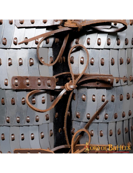 Viking schaalpantser met visby... Viking schaalpantser met visby...