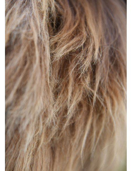 Piel Nórdica de oveja moteada para...