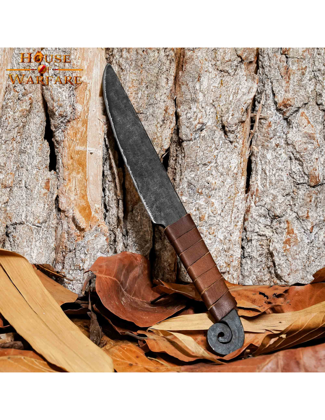 Cuchillo Cuello de Escarabajo ⚔️ Tienda-Medieval