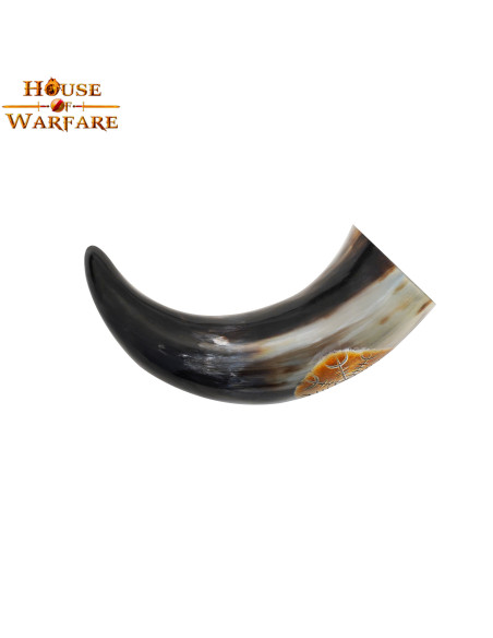 Viking drinkhoorn met vegvísir