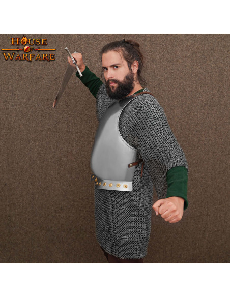 Armor cuirass, pectoral, fra...
