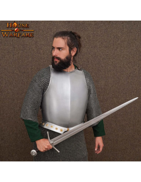 Armor cuirass, pectoral, fra...
