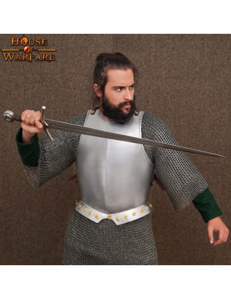 Armor cuirass, pectoral, fra...