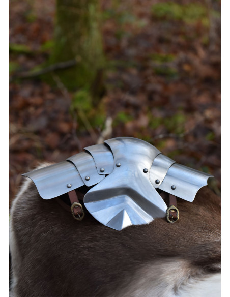 Paar middeleeuwse kniebeschermers in...