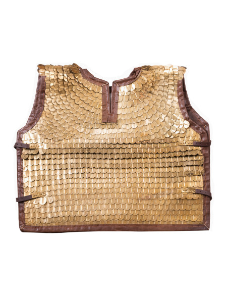 Romeinse Lorica Squamata (100-250...