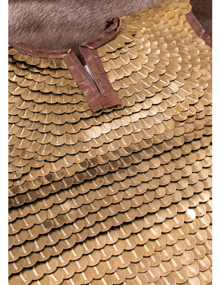 Romeinse Lorica Squamata (100-250...