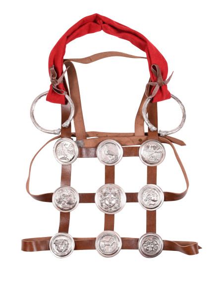 Römische Phalera aus verzinntem Messing