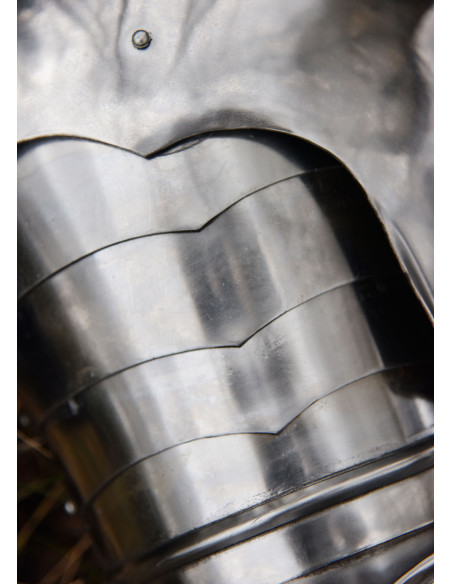 Middeleeuws pantserarm en stalen...