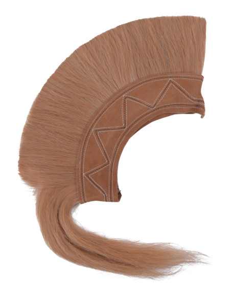 Pluim voor Griekse of Romeinse helm...