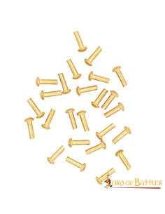 Set van 25 paddestoelkop messing klinknagels, 1,3 cm.