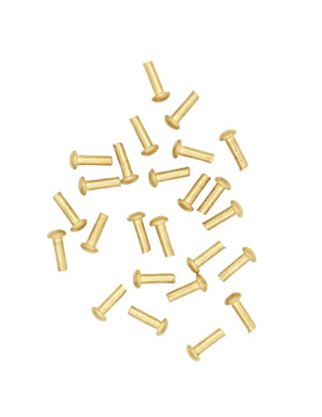 Set van 25 paddestoelkop messing...