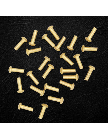 Juego de 25 remaches latonados con...