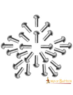 Set van 25 verzilverde schroefnagels met een platte kop,...