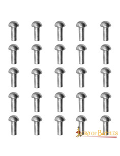 Set van 25 verzilverde schroefnagels met een platte kop,... 2