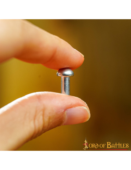 Set van 25 verzilverde schroefnagels...