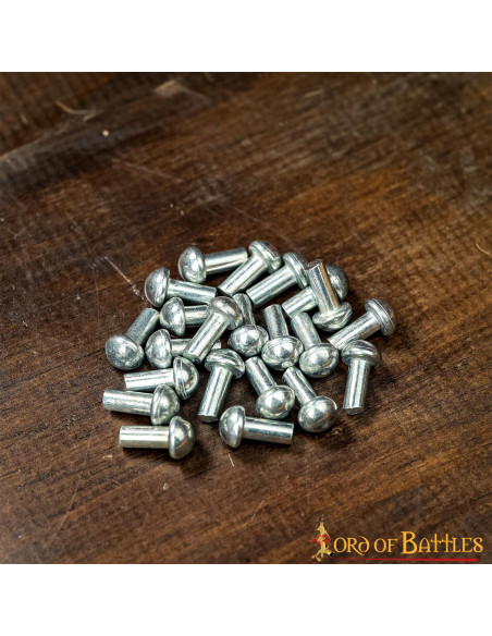 Set van 25 verzilverde schroefnagels...