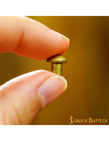 Set mit 25 Messingnieten mit...