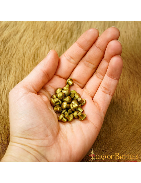 Set van 25 messing klinknagels met...