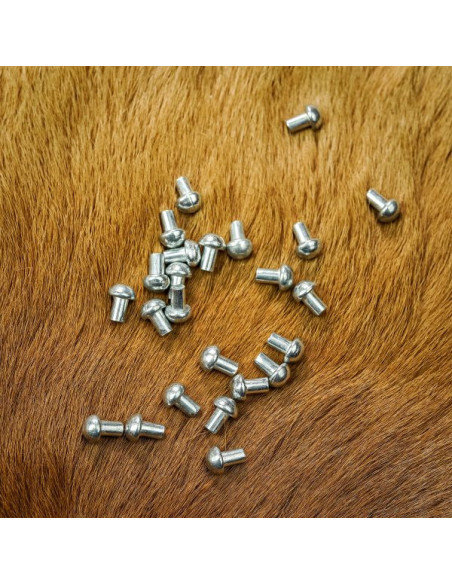 Set van 25 zilverkleurige schroeven...