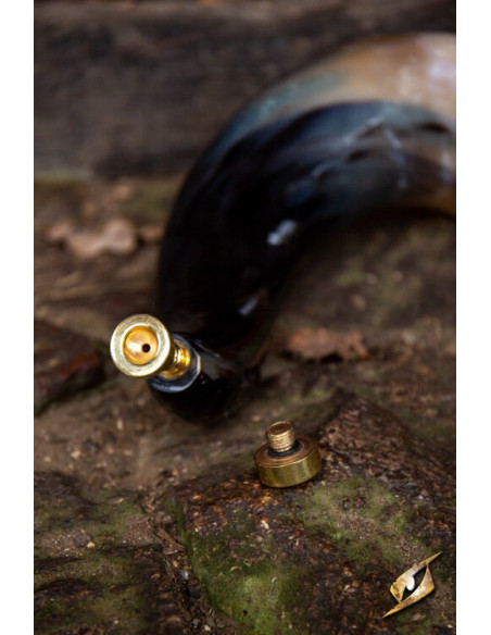 Fantastisk lydhorn til kamp