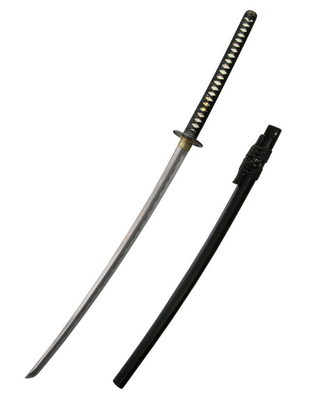 Katana prácticas Pro de Hanwei (116,2...