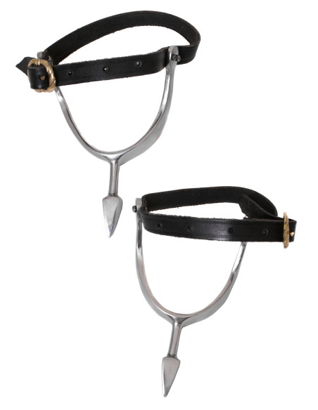 Mittelalterliche Sporen aus...