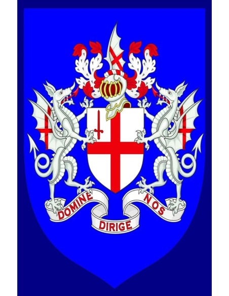 Estandarte medieval dragones y escudo...